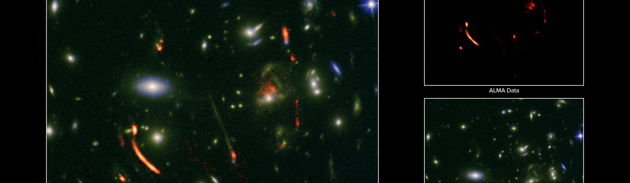 ALMA and the NSF VLA Use a Cosmic Lens to Reveal a Hyperactive Cradle of a Future Galaxy Cluster