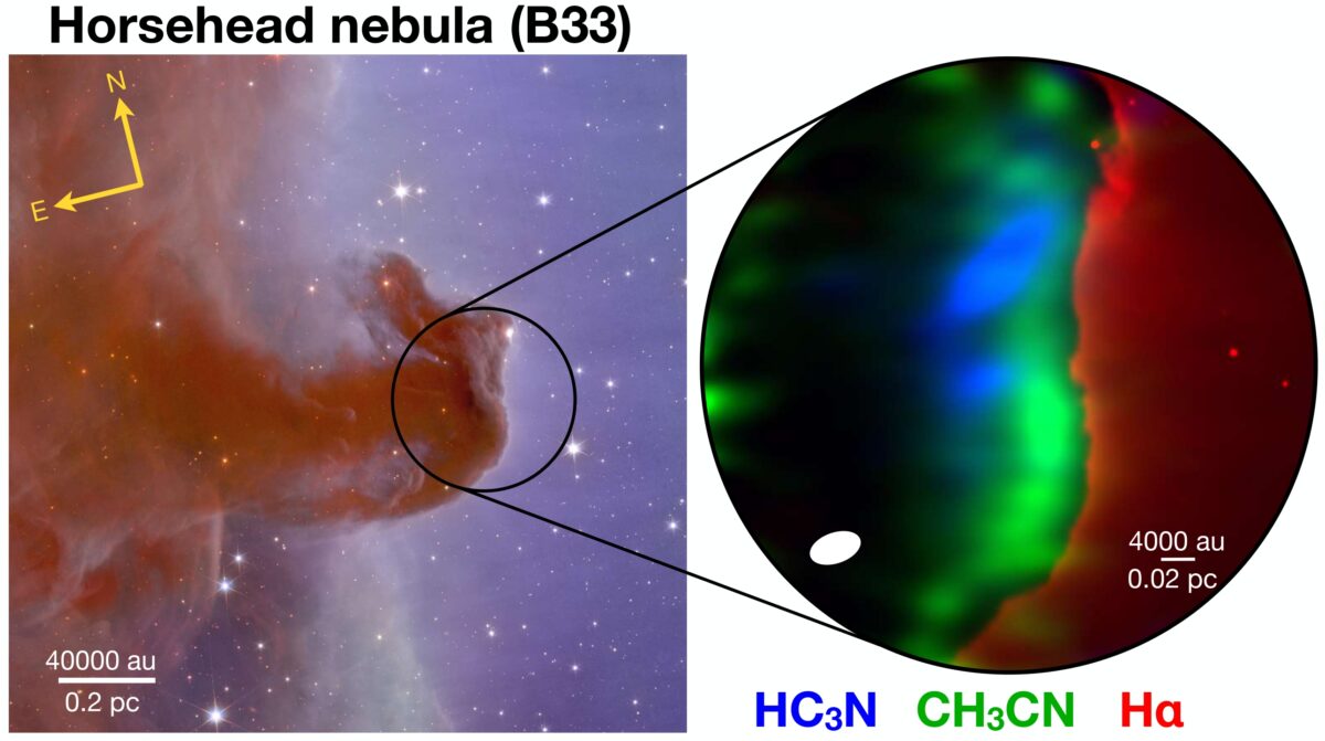ALMA resuelve la distribución espacial de moléculas orgánicas en la nebulosa Cabeza de Caballo