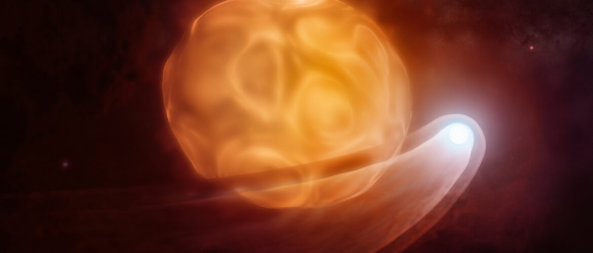 ALMA y VLA revelan indicios de una estrella compañera que agita la atmósfera de Betelgeuse